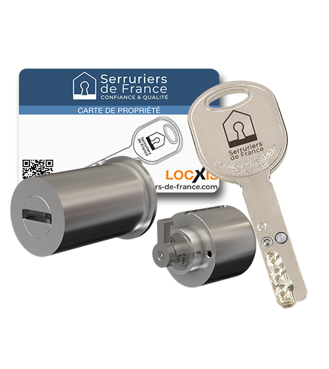 Jeu de cylindres Locxis CASTOR Serruriers de France® compatible Pollux 1 point et 3 points - 3 clés brevetées