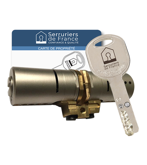 Cylindre monobloc Locxis TRELOD 50-50 Serruriers de France® pour Fichet Modulis - Palieris - Vertissime - 4 clés brevetées